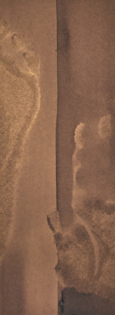 EM002 - Brou de noix sur papier, 12cm x 31cm
