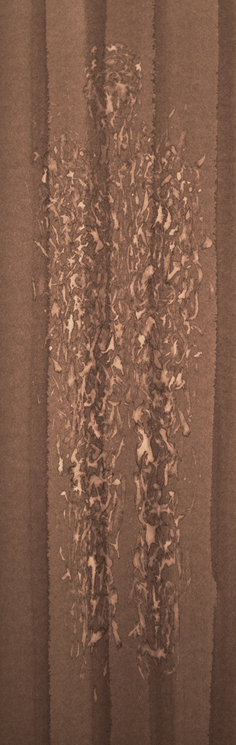 S003 - Brou de noix sur papier, 14cm x 43,5cm