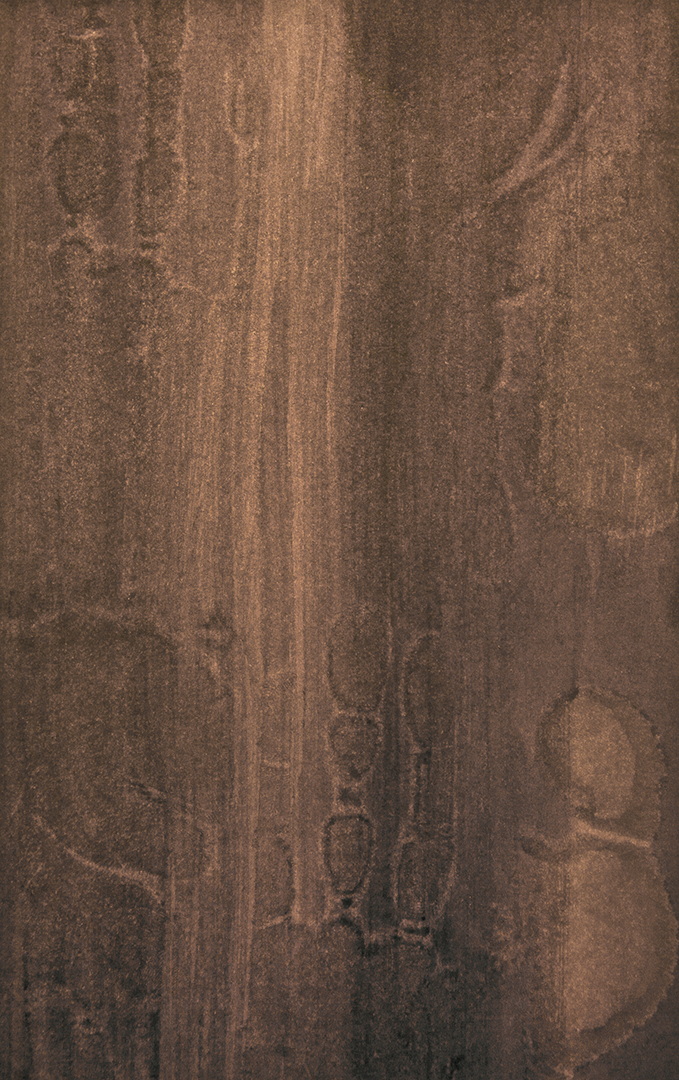 EM005 - Brou de noix sur papier, 17cm x 27cm