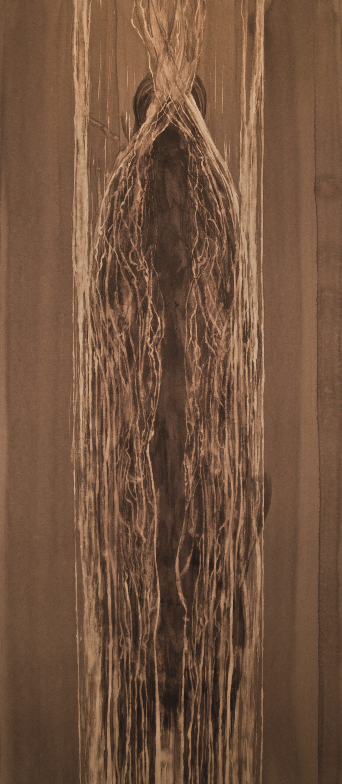 S005 - Brou de noix sur papier, 30cm x 66,5cm