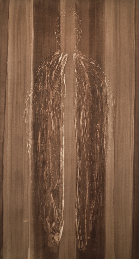 S006 - Brou de noix sur papier, 35cm x 64cm