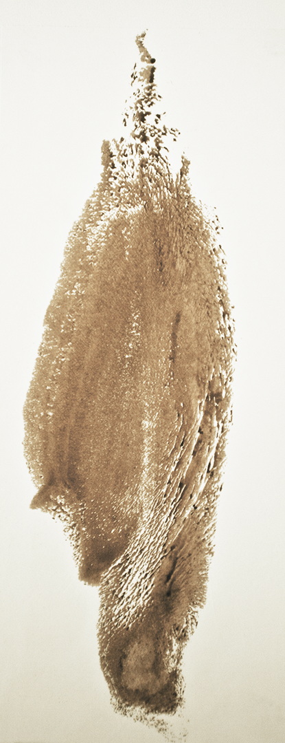 TR010 - Brou de noix sur papier, 11,5cm x 27cm