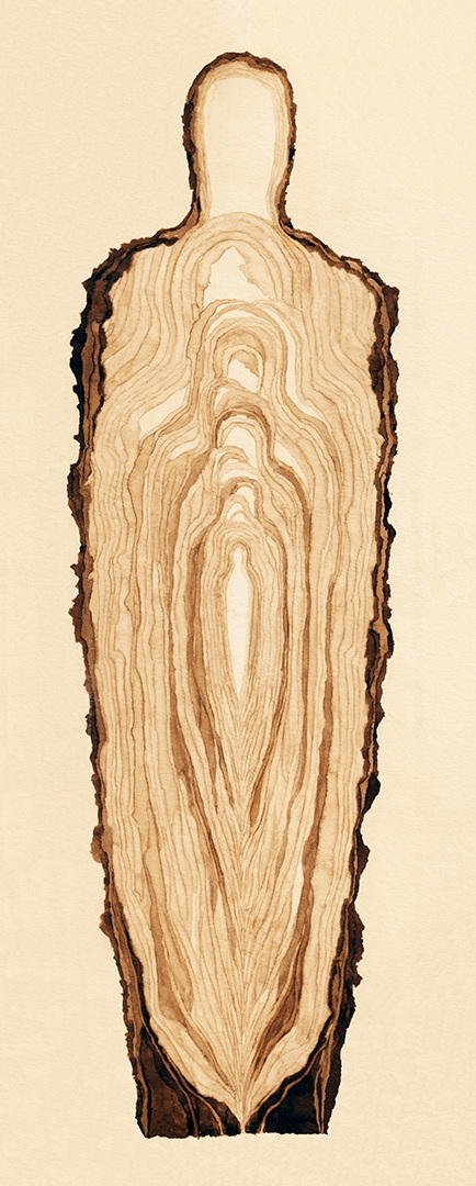 ES010 - Brou de noix sur papier, 14,5cm x 42cm