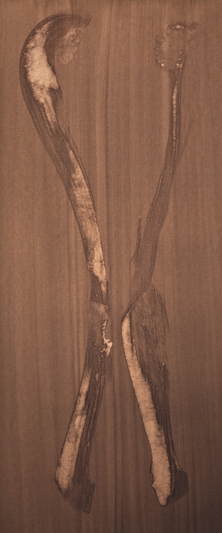 S014 - Brou de noix sur papier, 26,5cm x 65cm