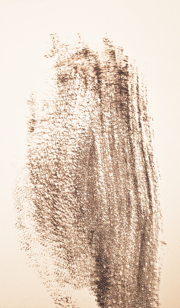 TR018 - Brou de noix sur papier, 11cm x 19cm