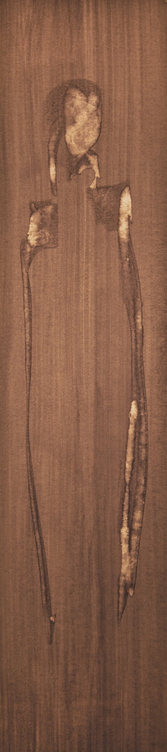S019 - Brou de noix sur papier, 14cm x 59cm