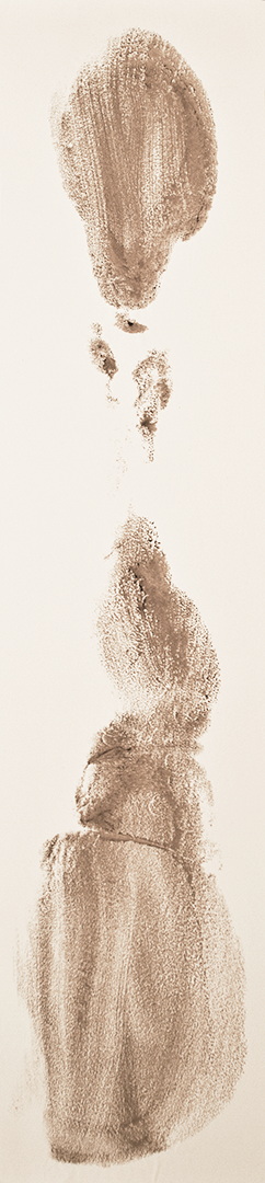 TR021 - Brou de noix sur papier, 16cm x 72cm