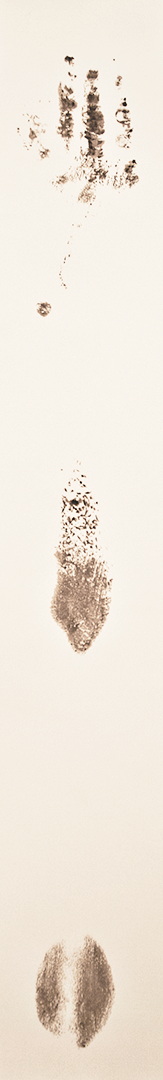 TR022 - Brou de noix sur papier, 21cm x 69cm